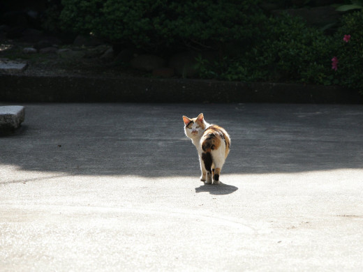 361533 (a): :1600x1200